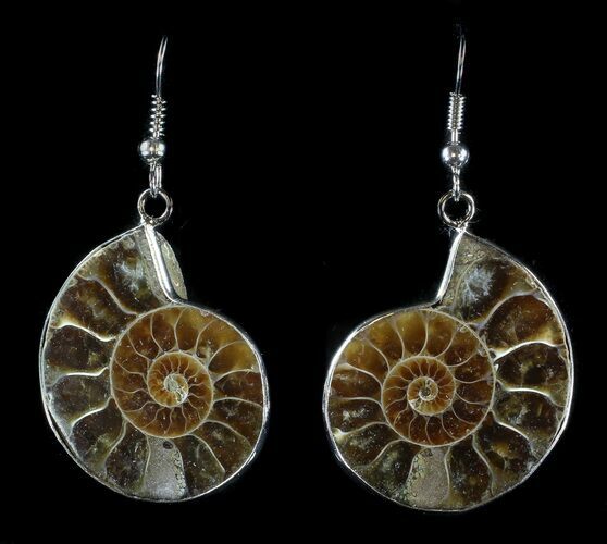 Fossil Ammonite Earrings - Million Years Old #35844